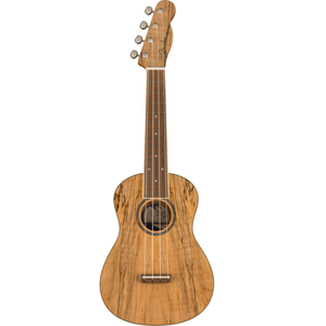 Fender Zuma Exotic Concert Ukulele - Spalted Maple