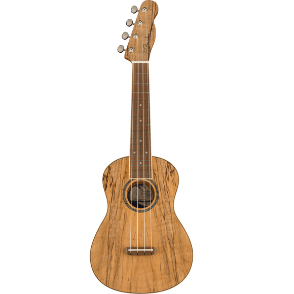 Fender Zuma Exotic Concert Ukulele - Spalted Maple
