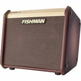 Fishman Loudbox Micro Acoustic Amplifier