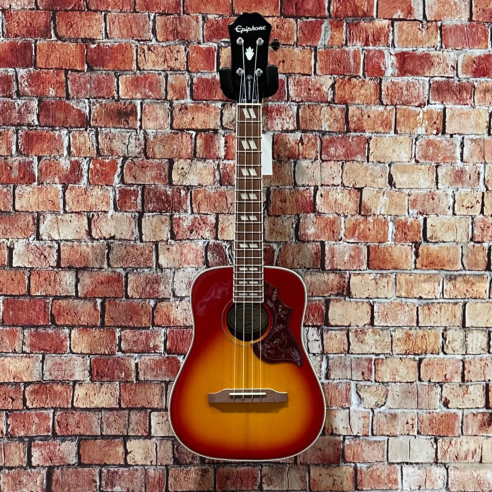 Epiphone Guitars & Accessories – Ardens Music