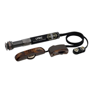 L.R Baggs Tru-Mic and Discrete Preamp