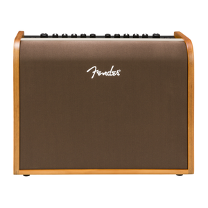 Fender Acoustic 100