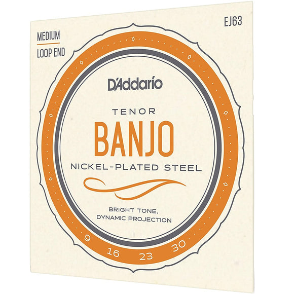 D'addario EJ63 Tenor Banjo Strings